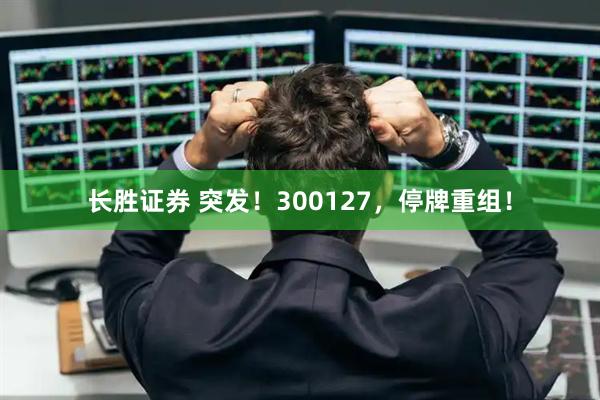 长胜证券 突发！300127，停牌重组！