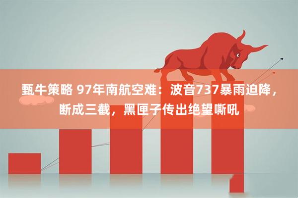 甄牛策略 97年南航空难：波音737暴雨迫降，断成三截，黑匣子传出绝望嘶吼