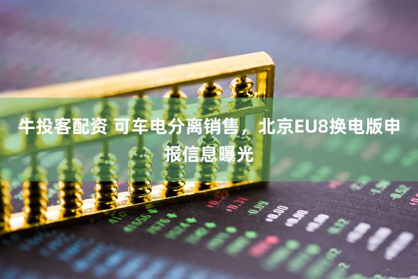 牛投客配资 可车电分离销售，北京EU8换电版申报信息曝光