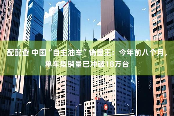 配配查 中国“自主油车”销量王：今年前八个月，单车型销量已冲破18万台